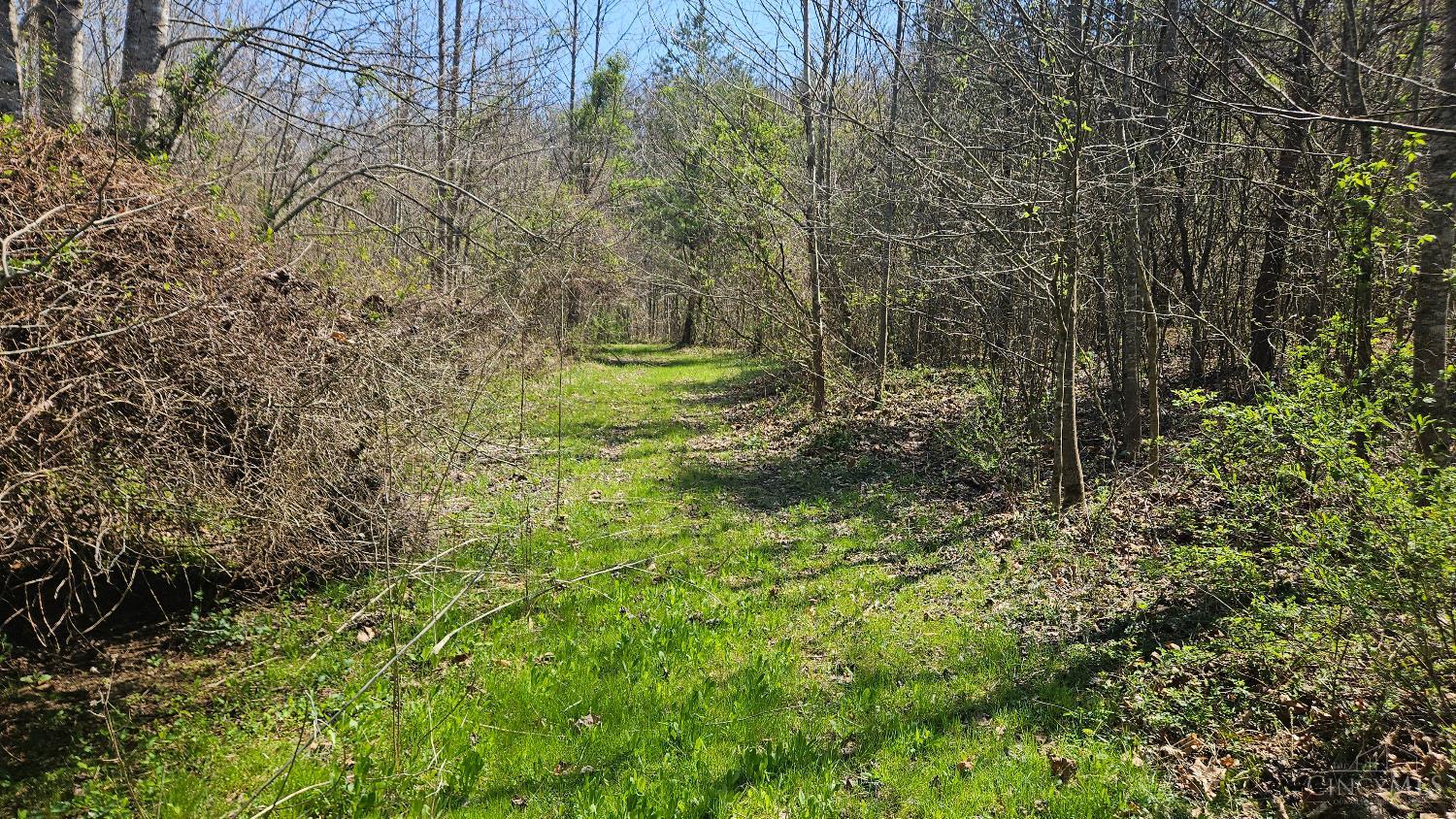 Spruce Hollow Road, Madison Twp, OH, 45653 — photo 9