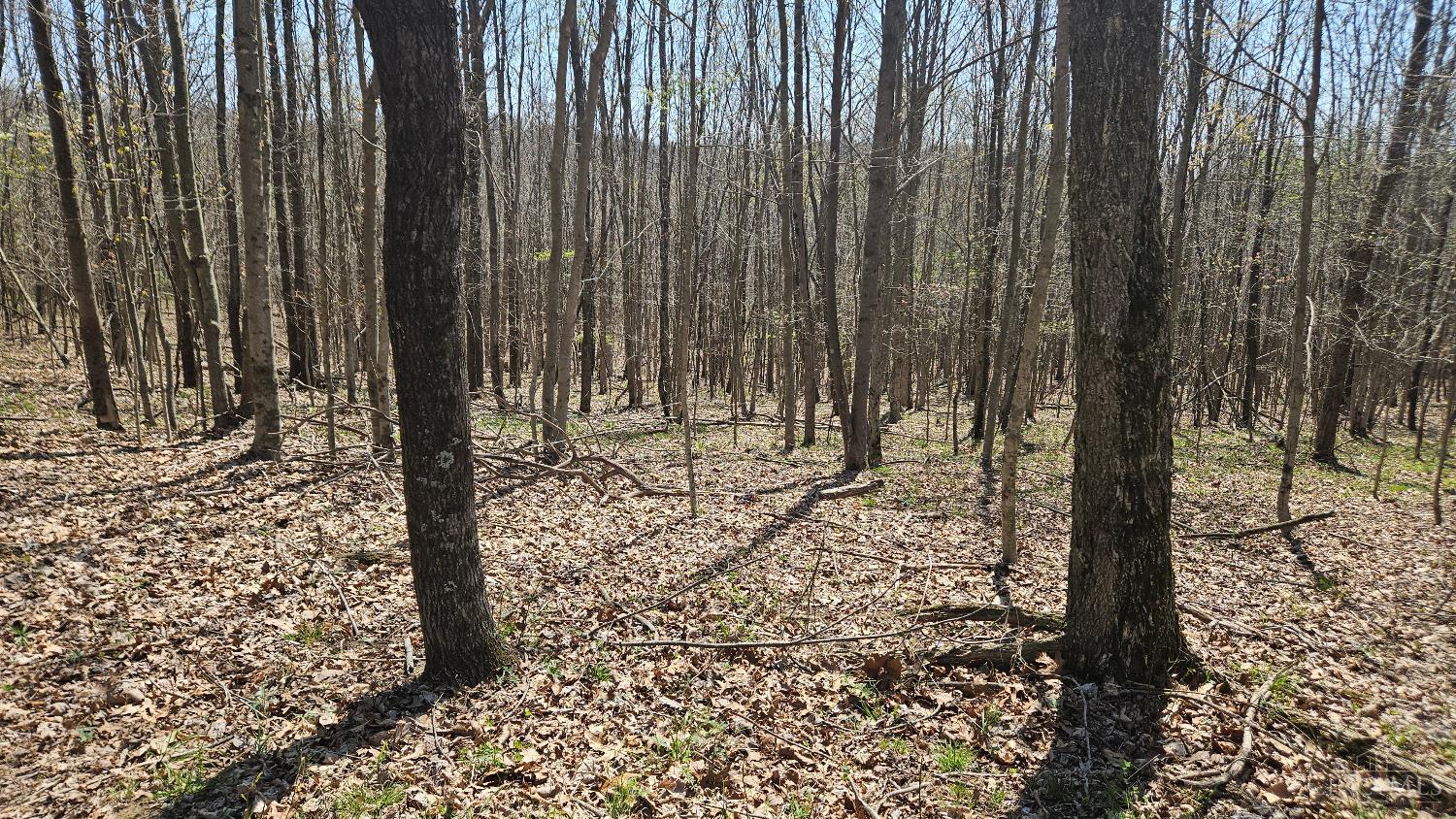 Spruce Hollow Road, Madison Twp, OH, 45653 — photo 18
