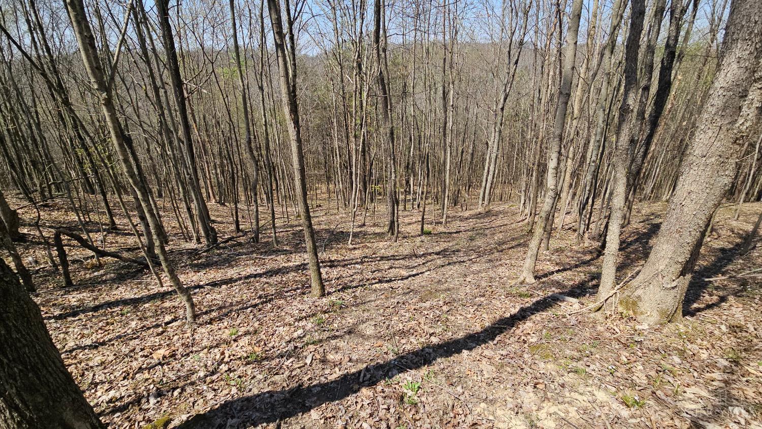 Spruce Hollow Road, Madison Twp, OH, 45653 — photo 38