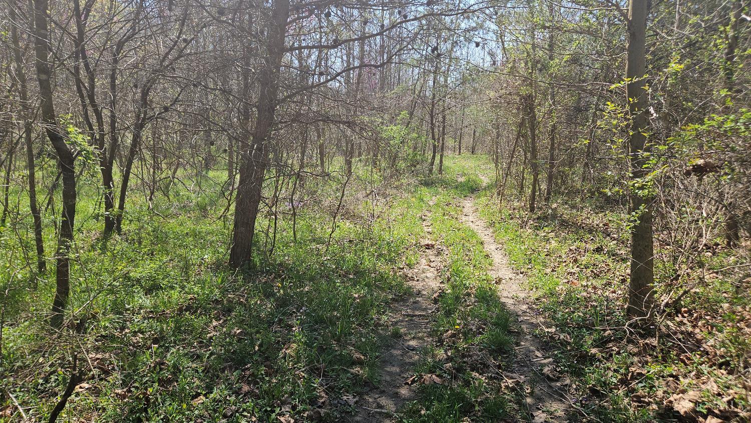 Spruce Hollow Road, Madison Twp, OH, 45653 — photo 48
