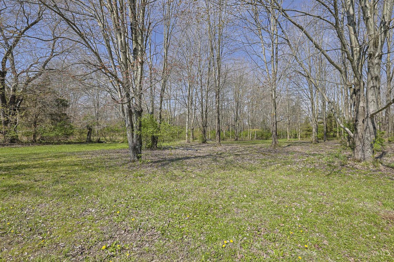 4903 St Rt 132, Harlan Twp, OH, 45152 — photo 36