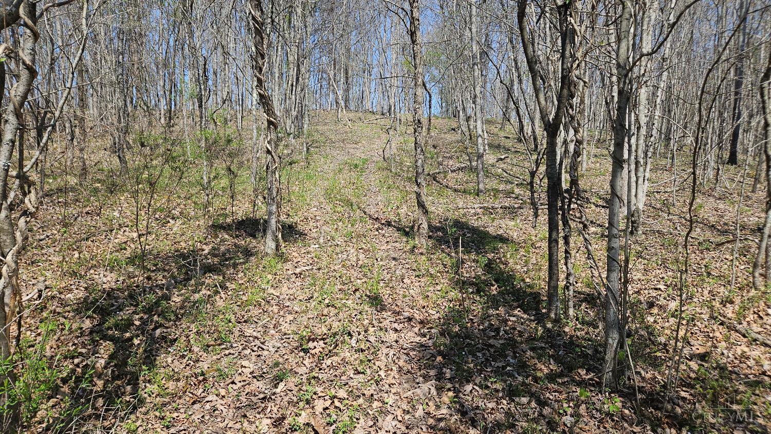 Spruce Hollow Road, Madison Twp, OH, 45653 — photo 20