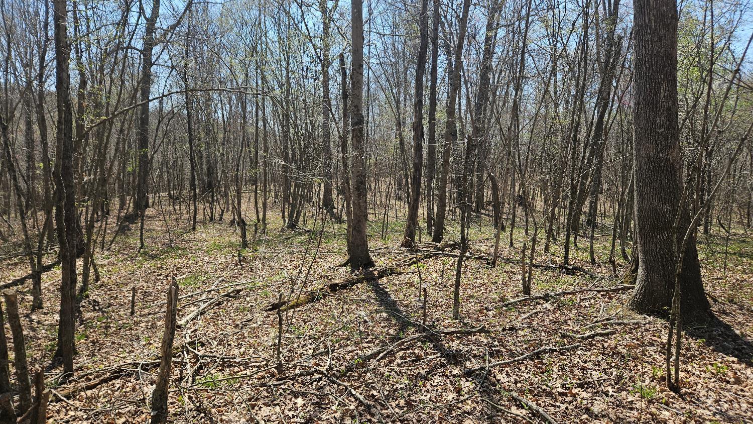 Spruce Hollow Road, Madison Twp, OH, 45653 — photo 24