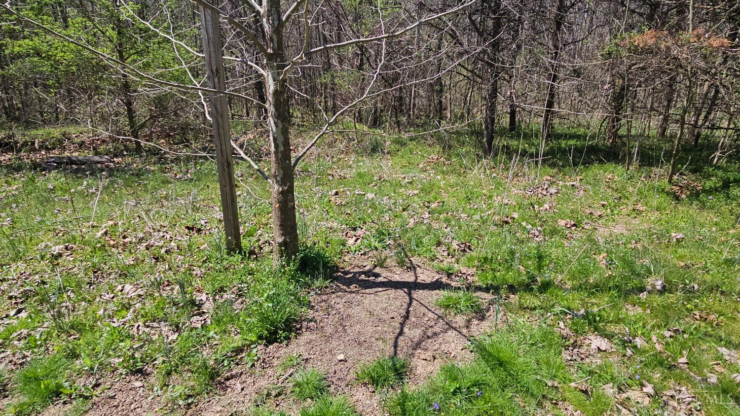 Spruce Hollow Road, Madison Twp, OH, 45653 — photo 52