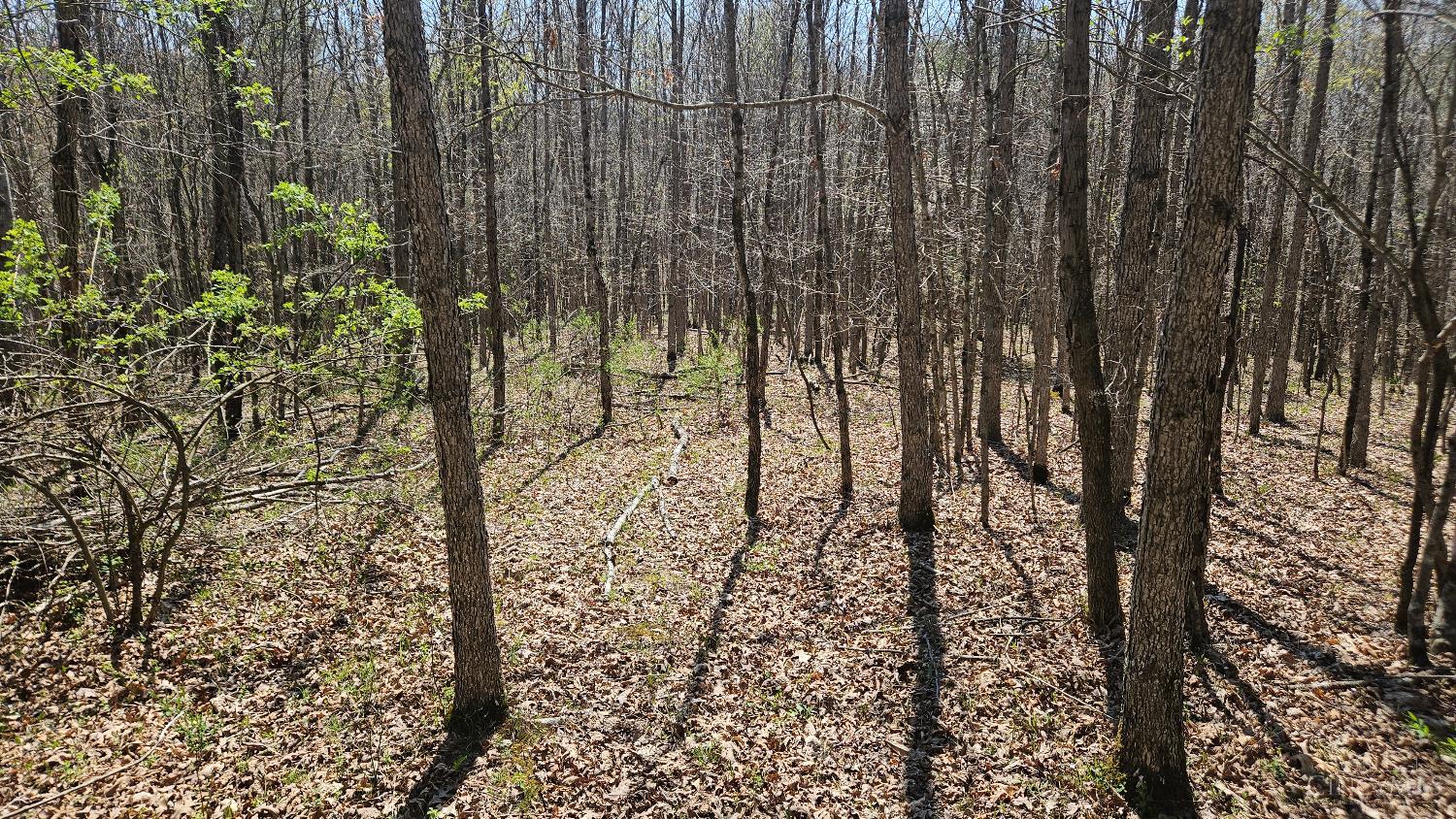 Spruce Hollow Road, Madison Twp, OH, 45653 — photo 19