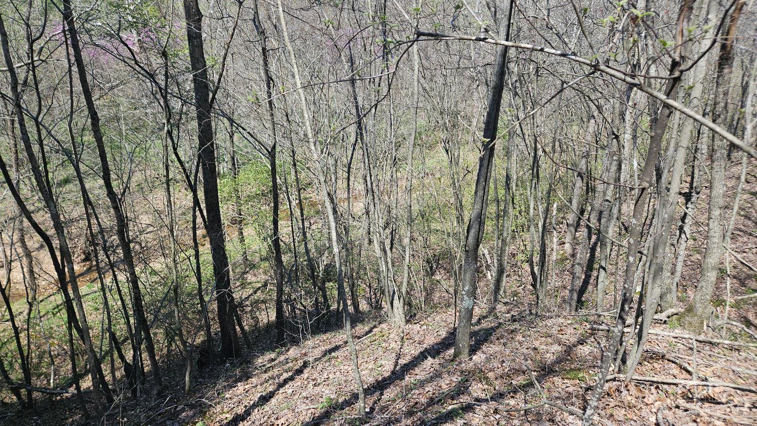 Spruce Hollow Road, Madison Twp, OH, 45653 — photo 44