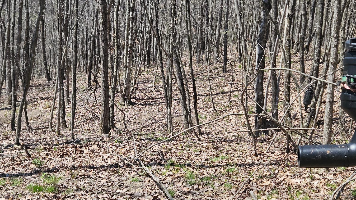 Spruce Hollow Road, Madison Twp, OH, 45653 — photo 34