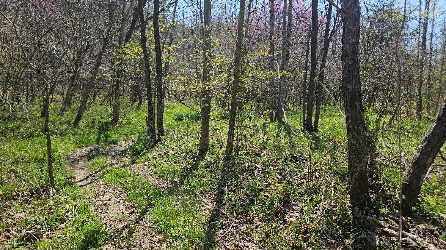 Spruce Hollow Road, Madison Twp, OH, 45653 — photo 46