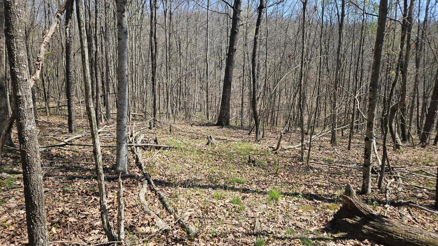 Spruce Hollow Road, Madison Twp, OH, 45653 — photo 26