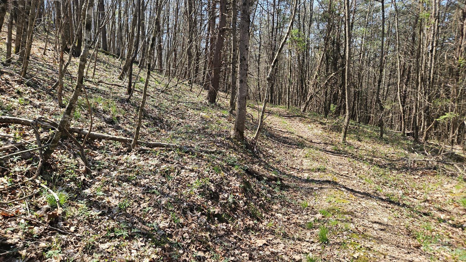 Spruce Hollow Road, Madison Twp, OH, 45653 — photo 17