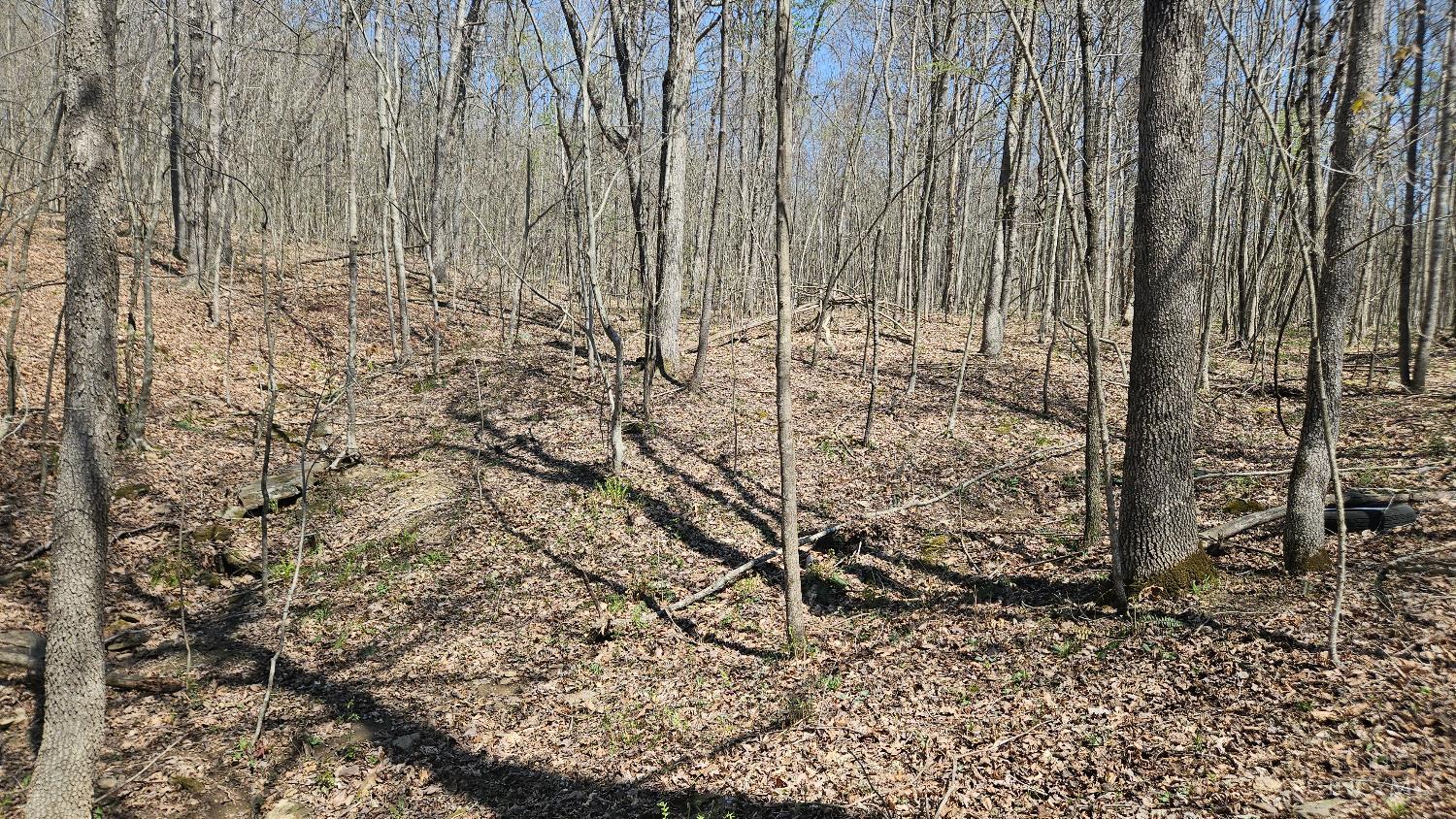 Spruce Hollow Road, Madison Twp, OH, 45653 — photo 31
