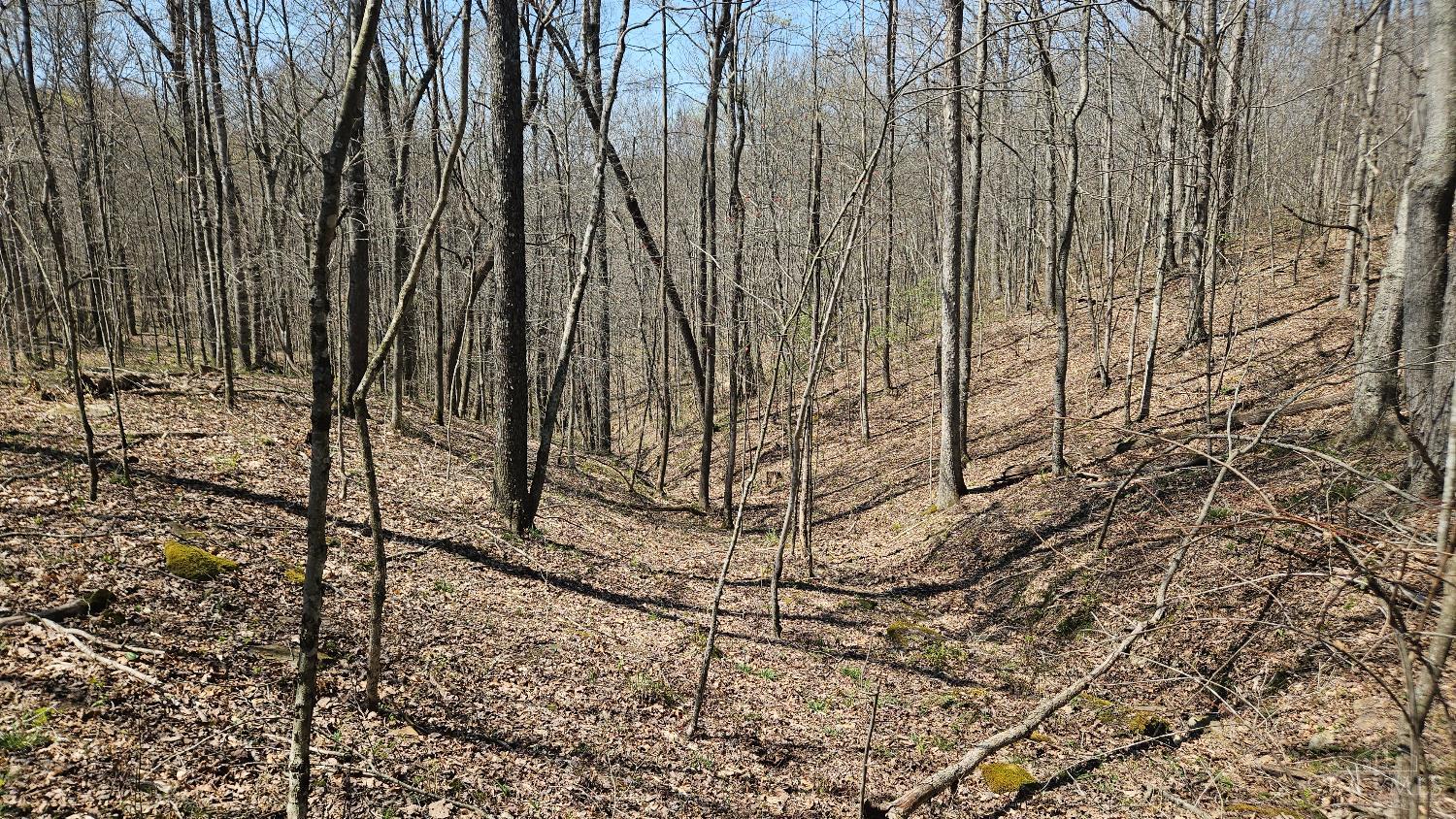 Spruce Hollow Road, Madison Twp, OH, 45653 — photo 29
