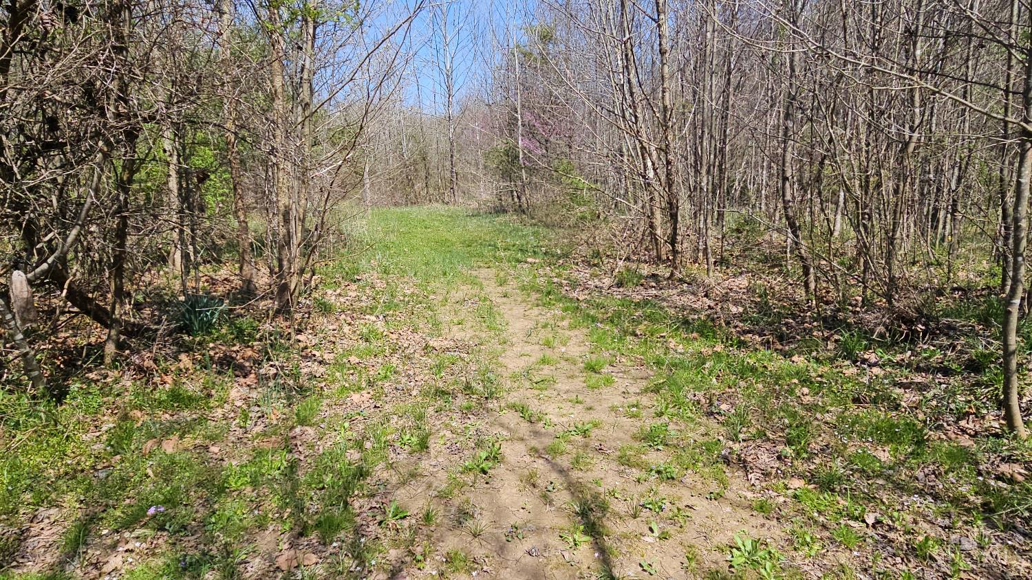 Spruce Hollow Road, Madison Twp, OH, 45653 — photo 53