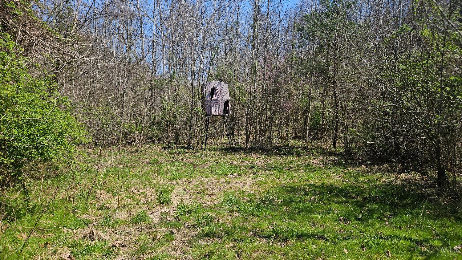 Spruce Hollow Road, Madison Twp, OH, 45653 — photo 10