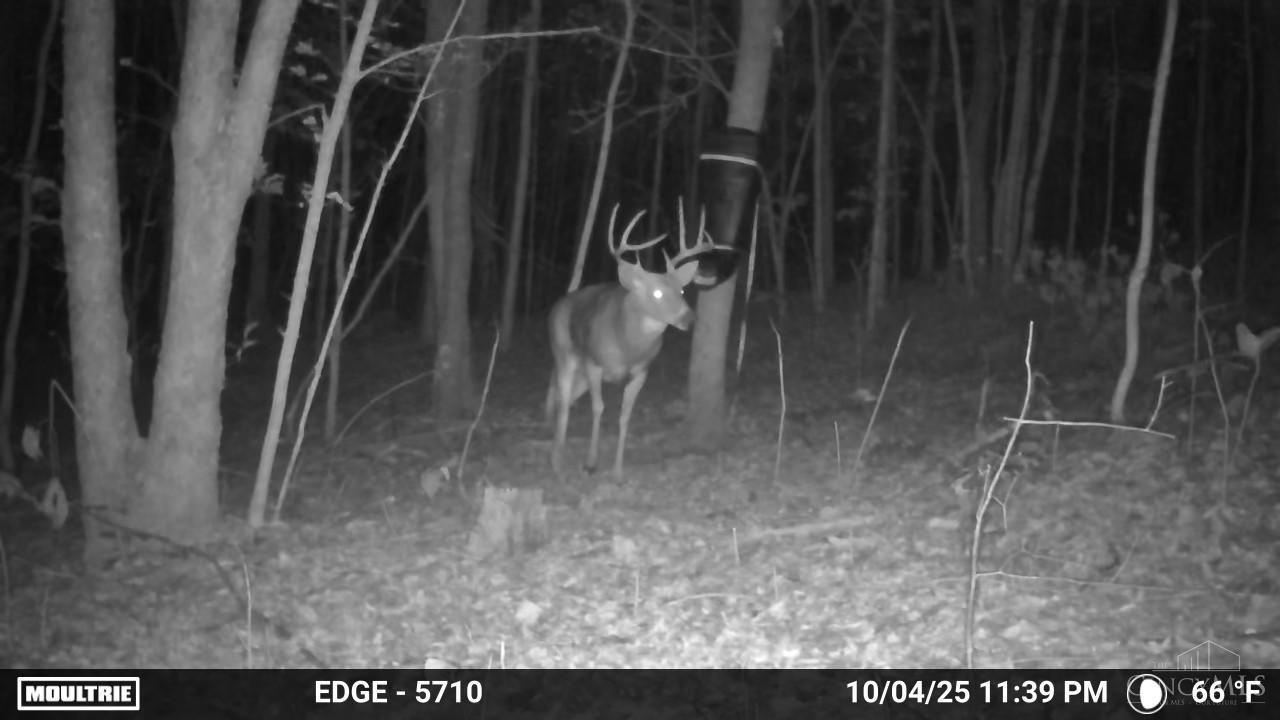 Spruce Hollow Road, Madison Twp, OH, 45653 — photo 27