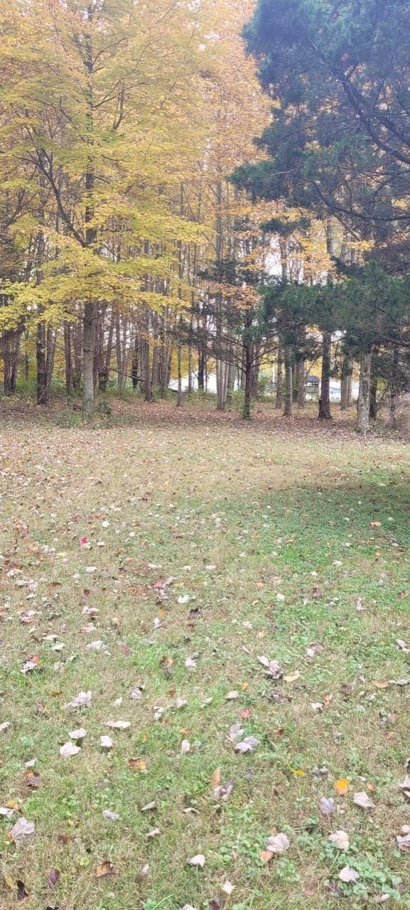 4903 St Rt 132, Harlan Twp, OH, 45152 — photo 53
