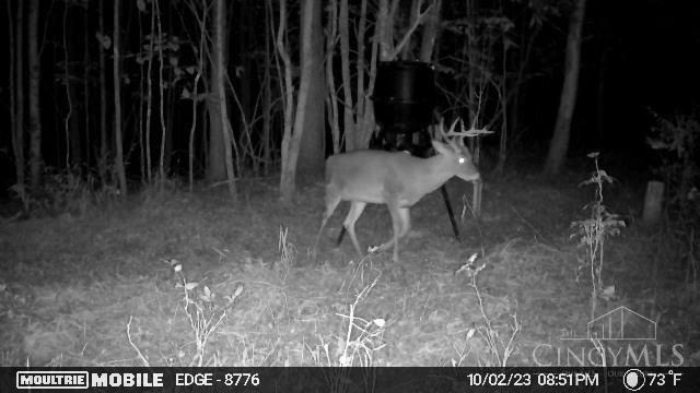 Spruce Hollow Road, Madison Twp, OH, 45653 — photo 25