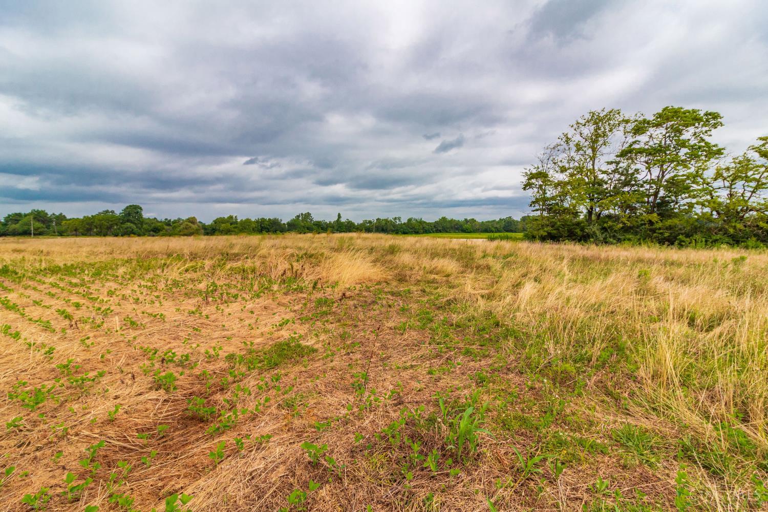 LOT 55 Dorsey Road, Winchester, OH, 45697 — photo 7
