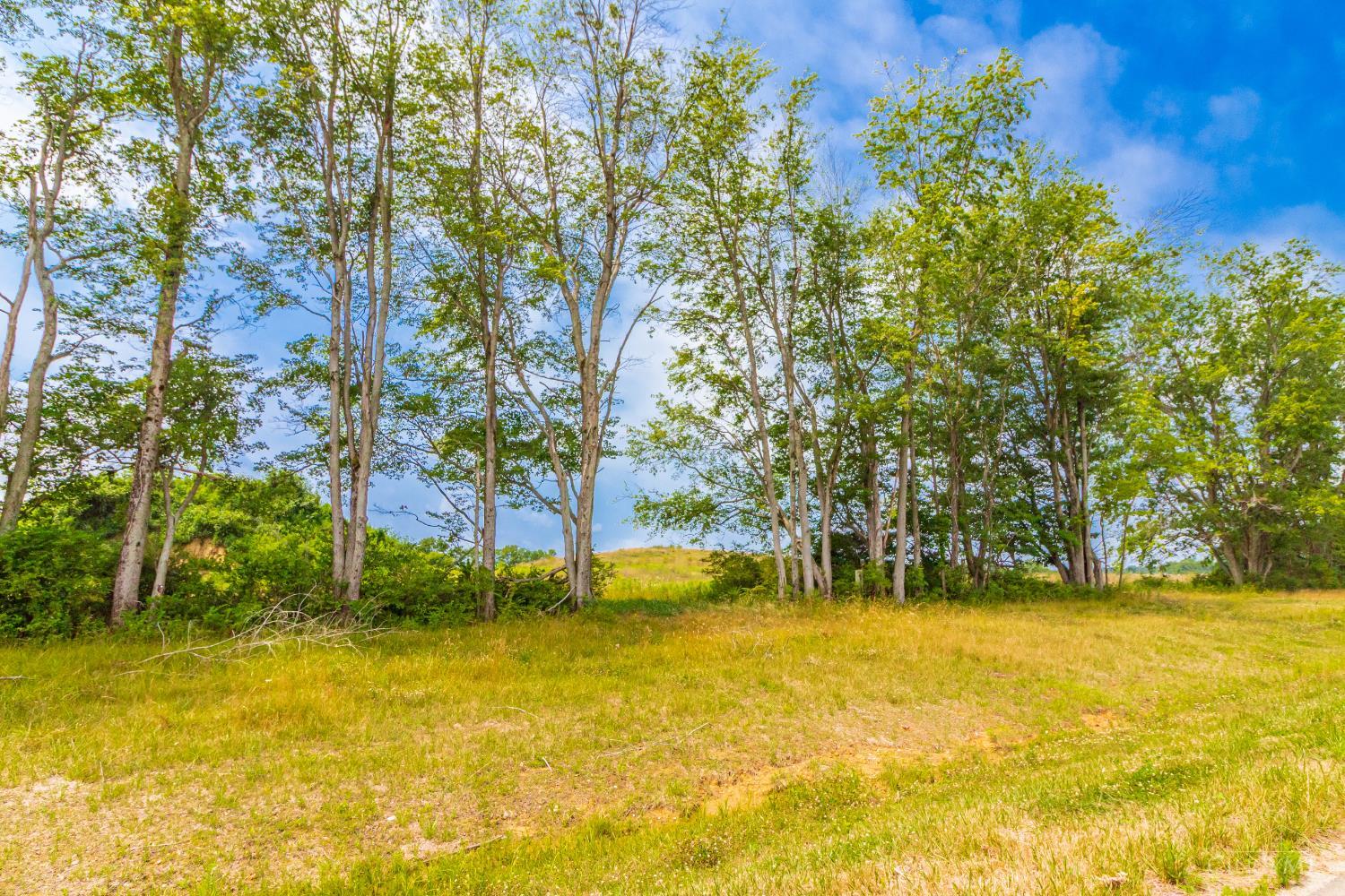LOT 55 Dorsey Road, Winchester, OH, 45697 — photo 15