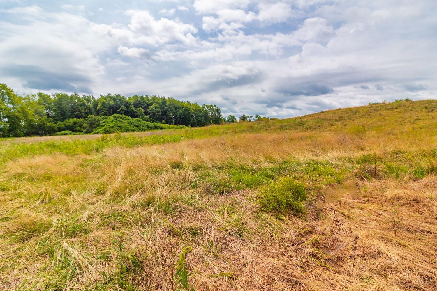 LOT 55 Dorsey Road, Winchester, OH, 45697 — photo 6