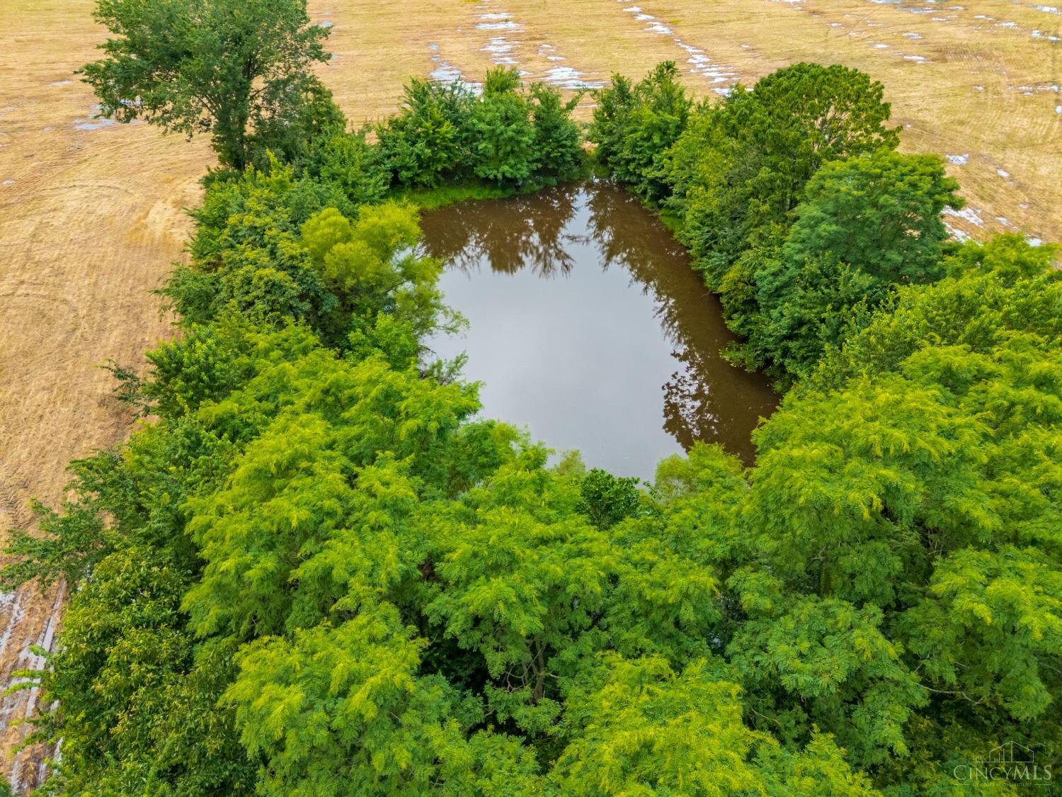 LOT 34 Dorsey Road, Winchester, OH, 45697 — photo 61