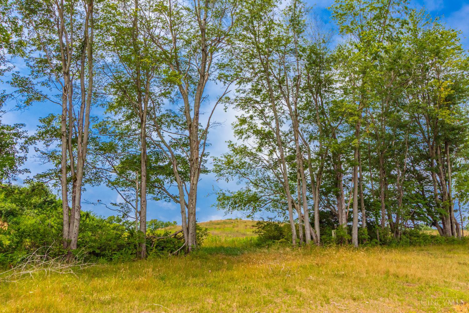 LOT 55 Dorsey Road, Winchester, OH, 45697 — photo 16