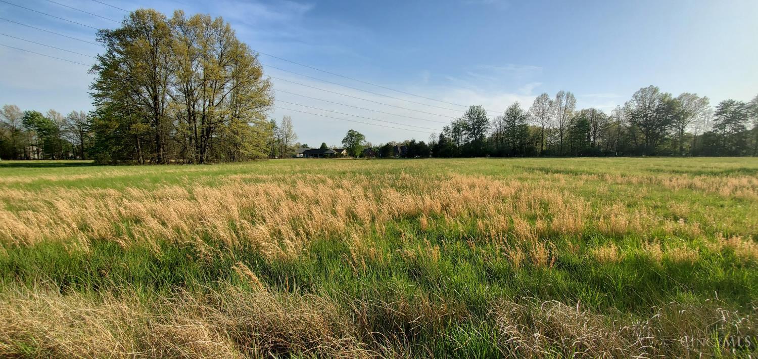 Crescent Drive, Mt Orab, OH, 45154 — photo 13