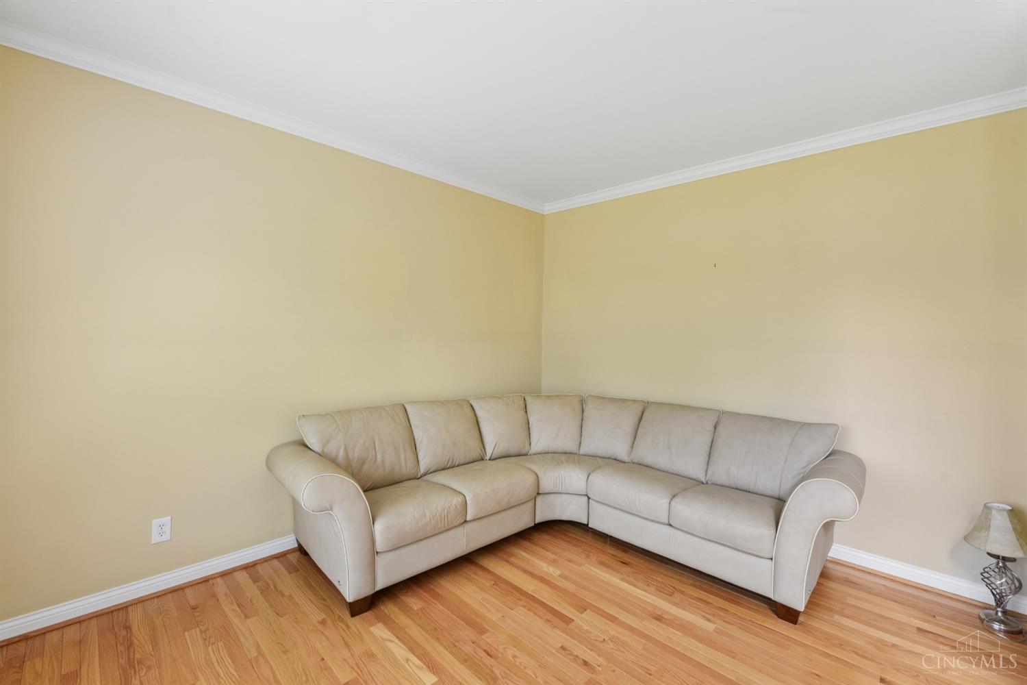 325 Eastbury Drive, Loveland, OH, 45140 — photo 20
