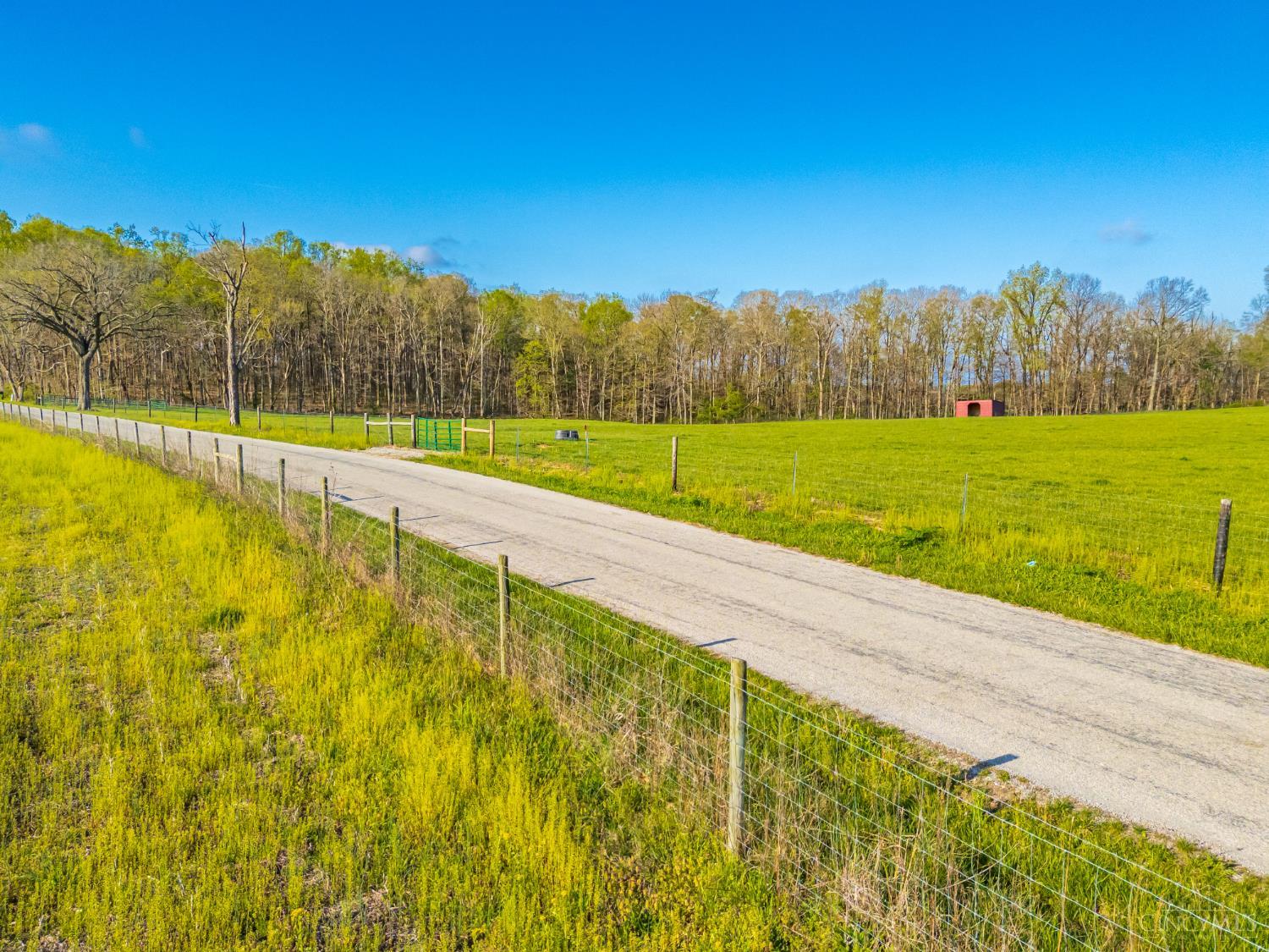 2375 Poplar Ridge Rd, West Union, OH, 45693 — photo 28
