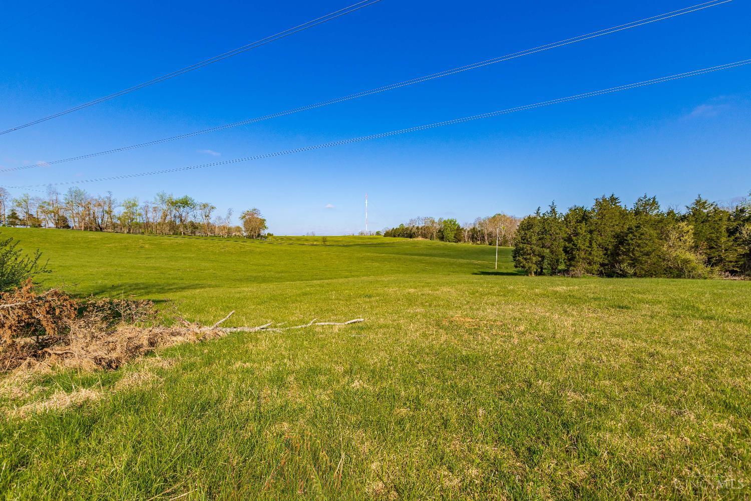 2375 Poplar Ridge Rd, West Union, OH, 45693 — photo 30