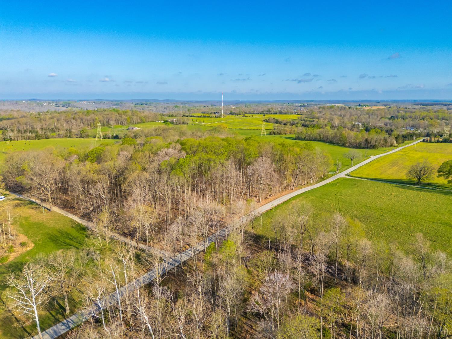 2375 Poplar Ridge Rd, West Union, OH, 45693 — photo 25
