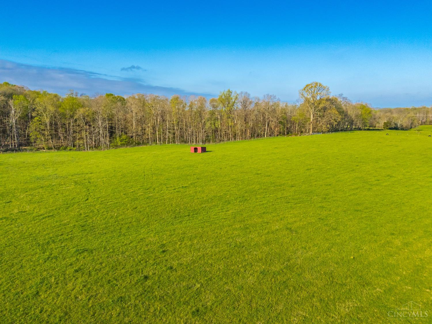 2375 Poplar Ridge Rd, West Union, OH, 45693 — photo 19