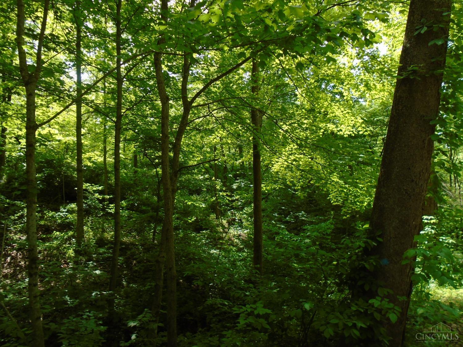 Rischforth Road, Jackson Twp, OH, 45168 — photo 7
