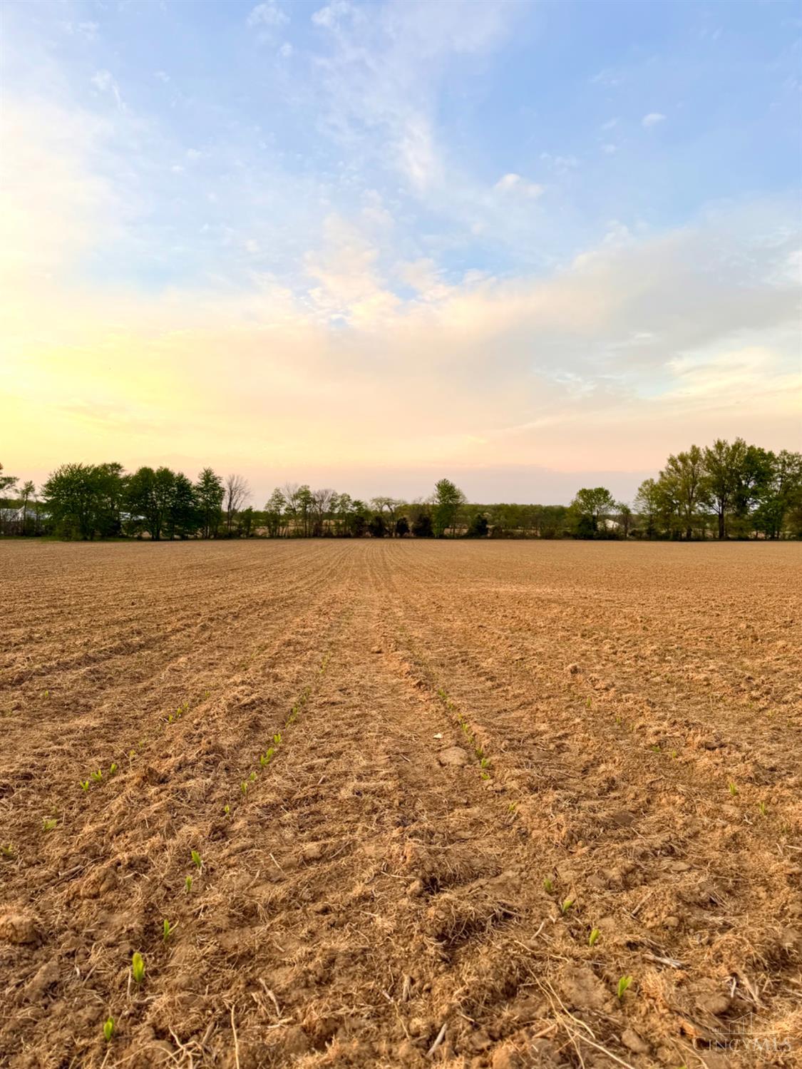 Schwallie Road, Jackson Twp, OH, 45171 — photo 11
