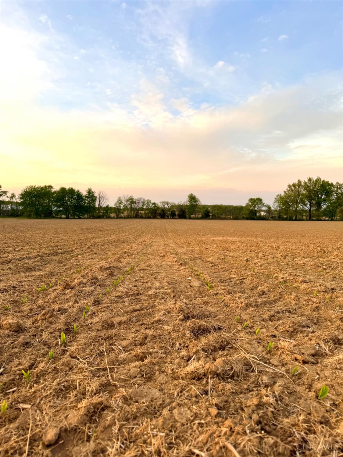 Schwallie Road, Jackson Twp, OH, 45171 — photo 25