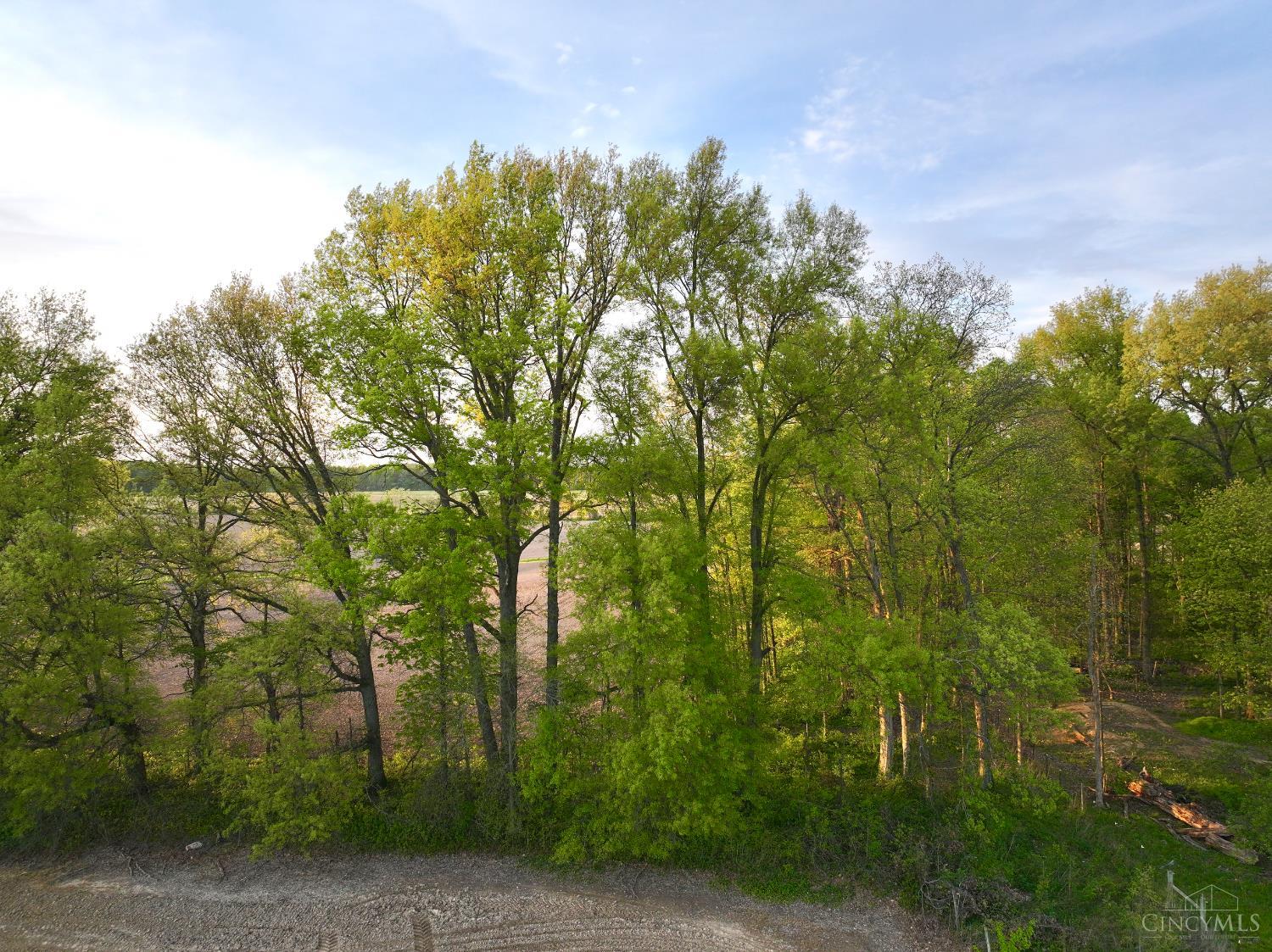 Schwallie Road, Jackson Twp, OH, 45171 — photo 20