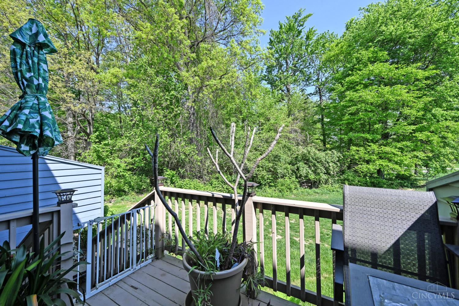 1056 Crisfield Drive, Union Twp, OH, 45245 — photo 40