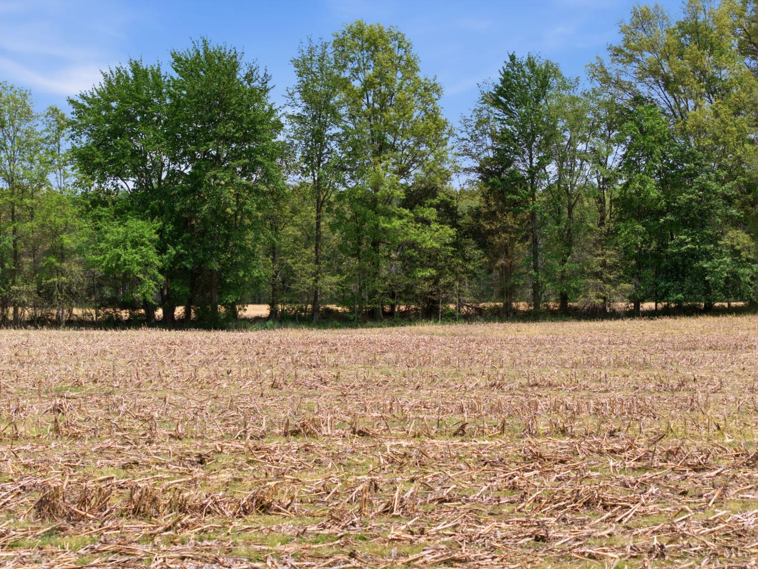 10559 Dixon Road, Jackson Twp, OH, 45697 — photo 28