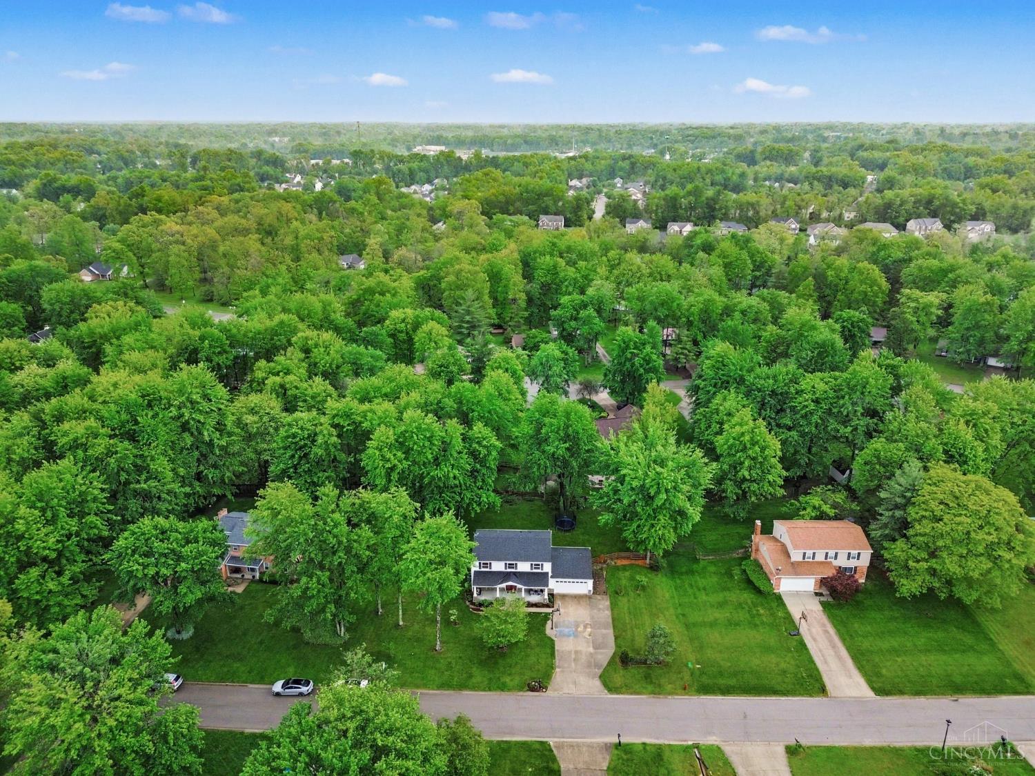 1117 Deerhaven Court