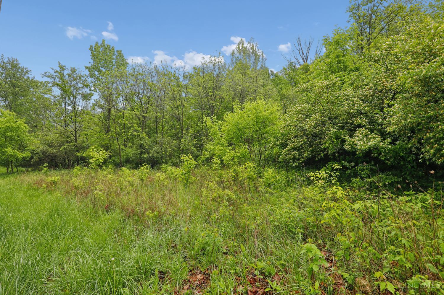 480 Tam O Shanter Court, Anderson Twp, OH, 45255 — photo 15