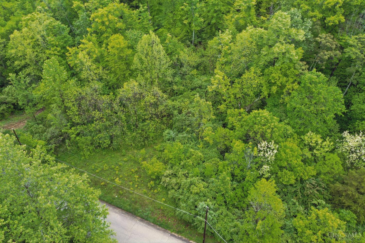 480 Tam O Shanter Court, Anderson Twp, OH, 45255 — photo 3