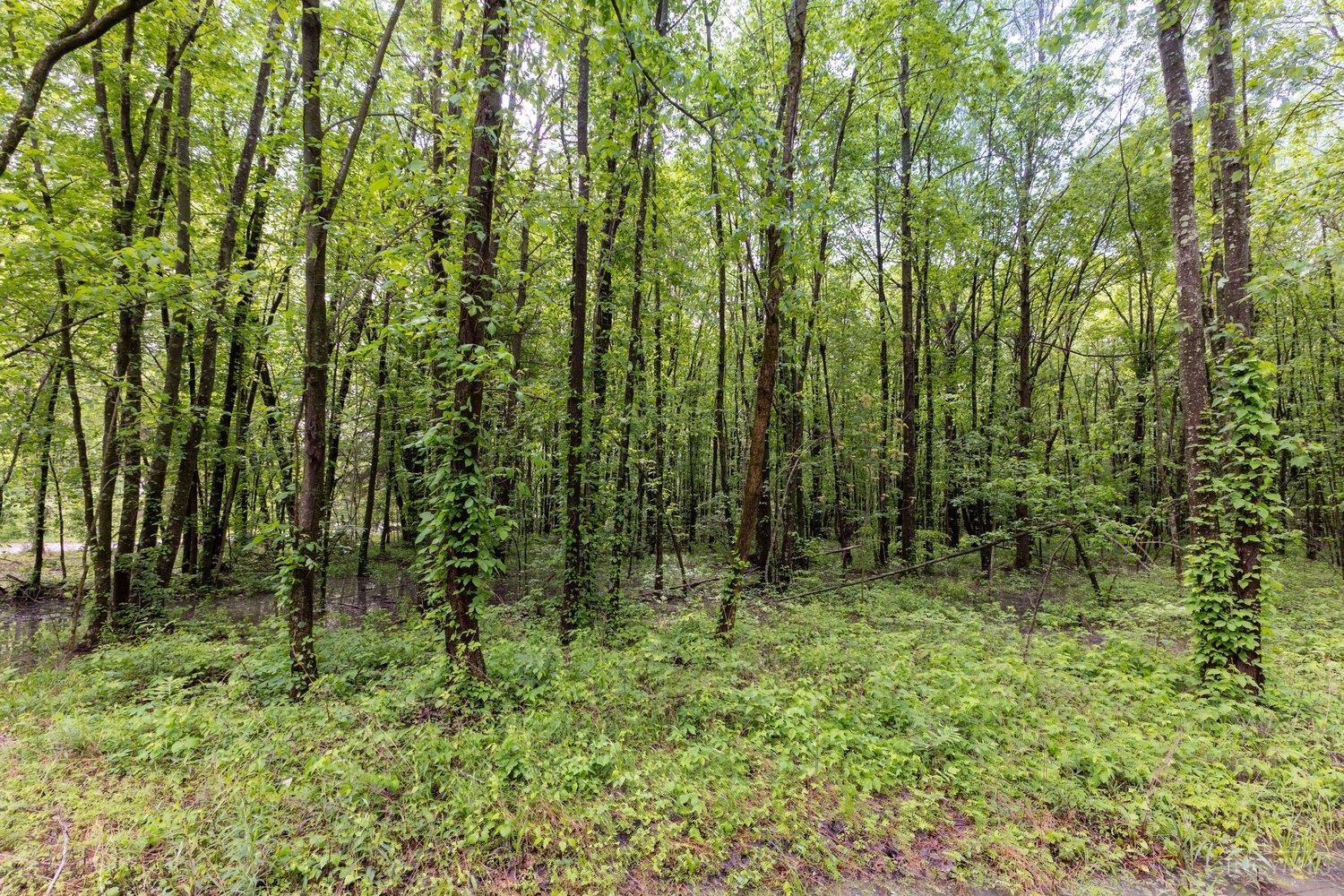 Homes for sale in Stonelick Twp, OH | 6149 Belfast Rd, Stonelick Twp, OH 45122 | MLS# 1868286