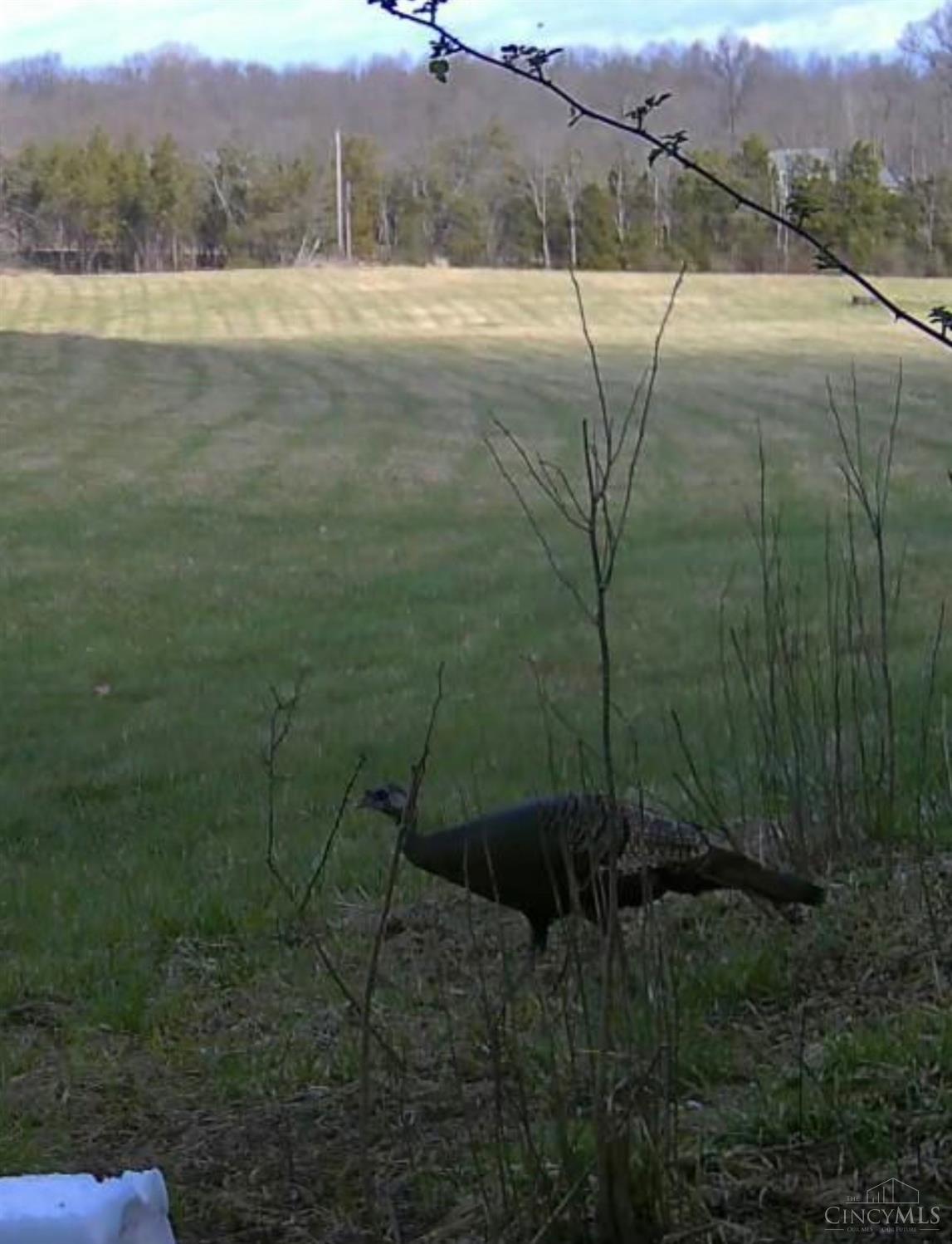 2375 Poplar Ridge Rd, West Union, OH, 45693 — photo 7