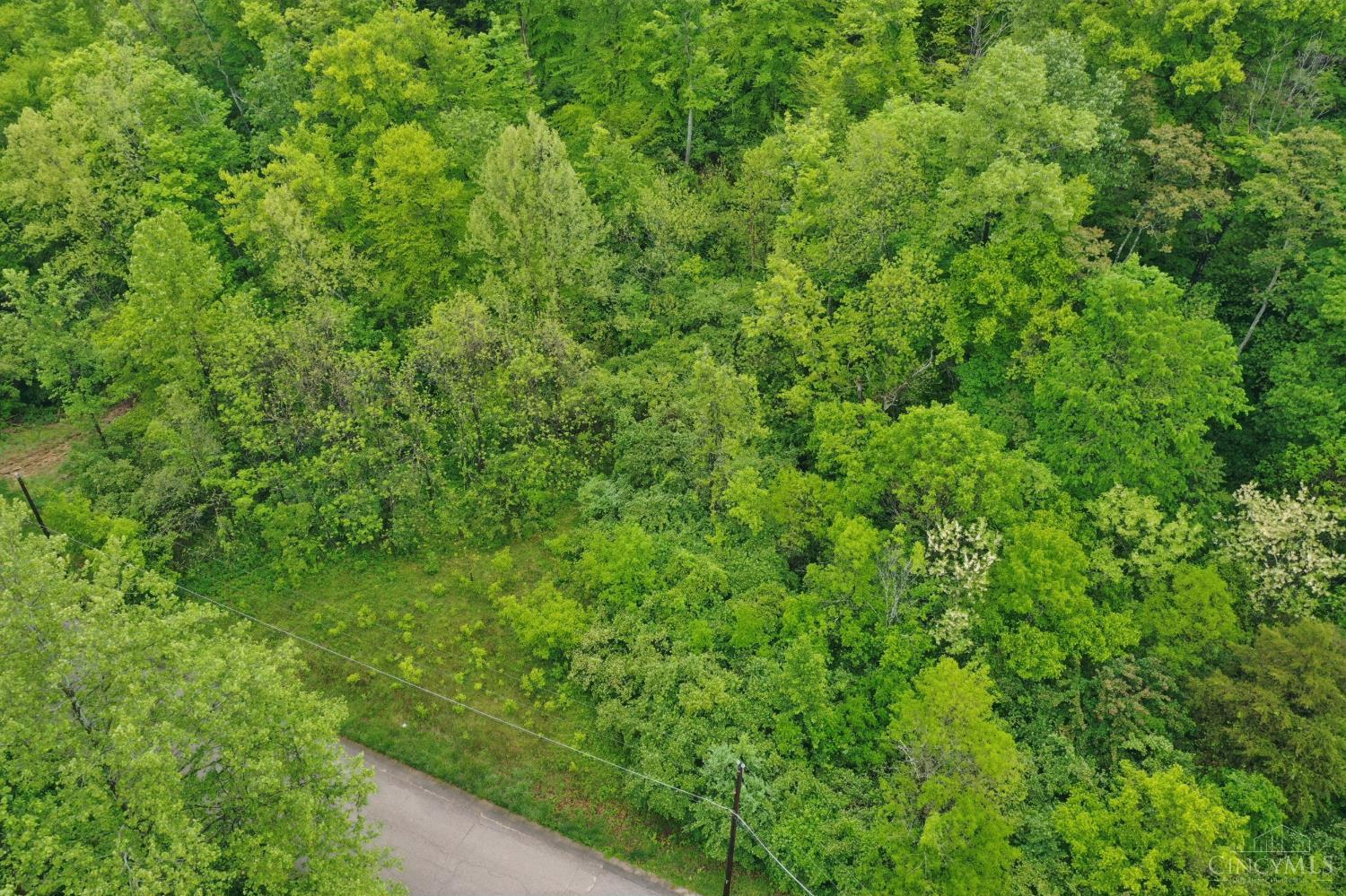480 Tam O Shanter Court, Anderson Twp, OH, 45255 — photo 19