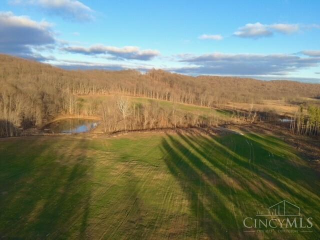 14703 Brier Hill Road, Paint Twp, OH, 45612 — photo 79