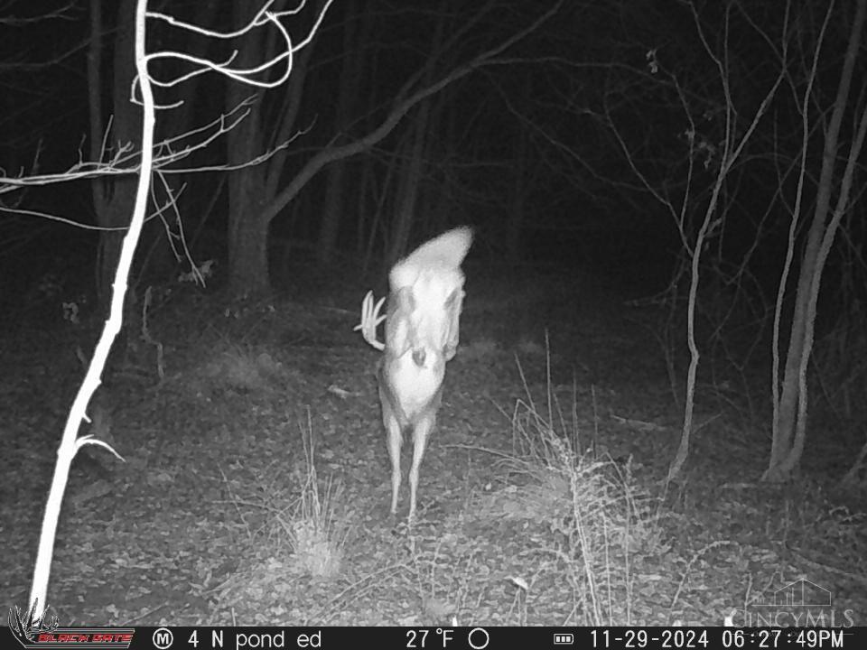 14703 Brier Hill Road, Paint Twp, OH, 45612 — photo 33