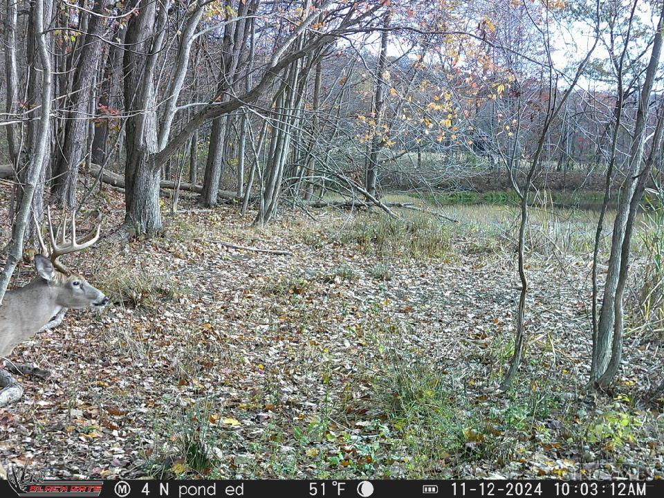 14703 Brier Hill Road, Paint Twp, OH, 45612 — photo 32