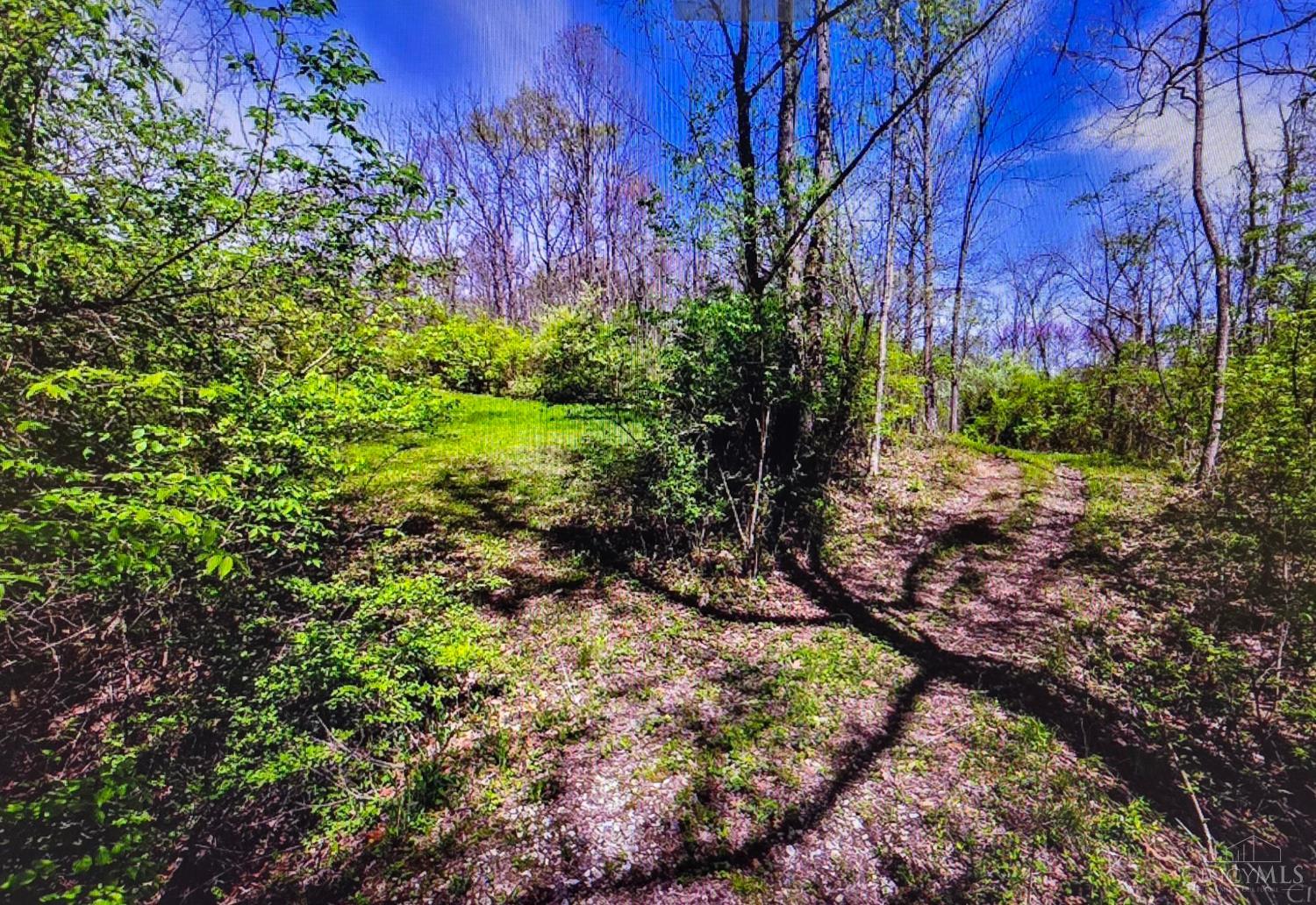 Carolina Trace Road, Harrison Twp, OH, 45030 — photo 6