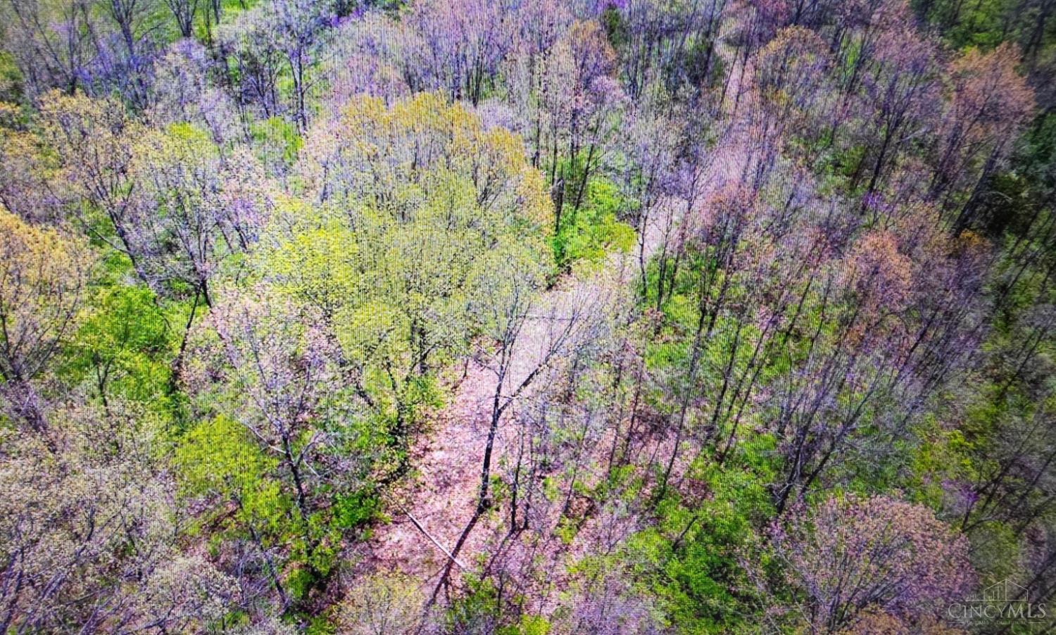 Carolina Trace Road, Harrison Twp, OH, 45030 — photo 3