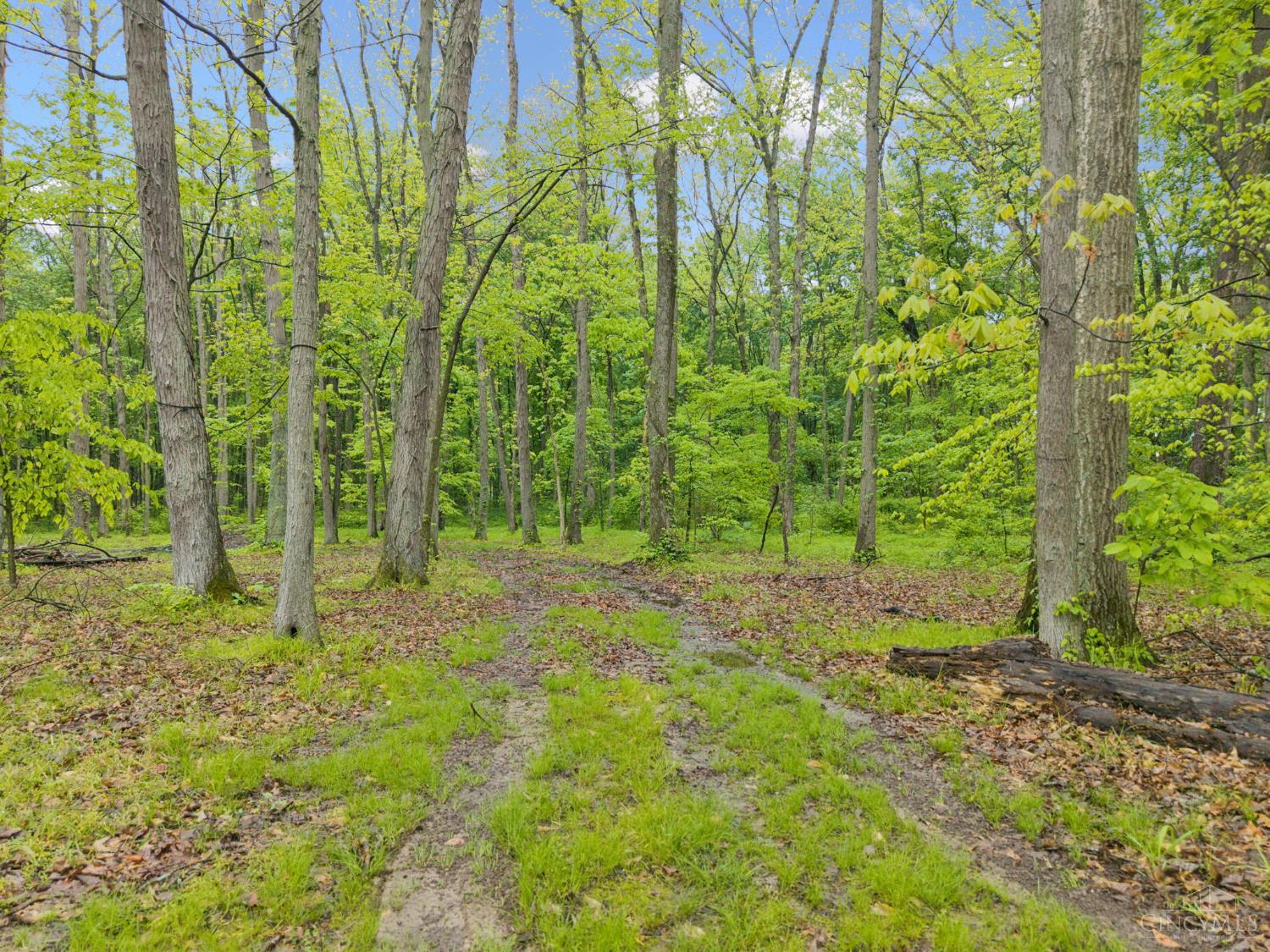 582 Nauvoo Road, Vernon Twp, OH, 45113 — photo 9